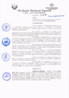 Vista preliminar de documento redi2021_313.pdf