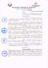 Vista preliminar de documento redi2021_319.pdf