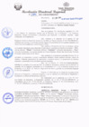 Vista preliminar de documento redi2021_320.pdf
