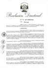Vista preliminar de documento RD 170-2017.pdf