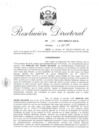 Vista preliminar de documento 091417 RD 170-2017-INPE-17-125-D_Sausa Salazar Marlon Leo.pdf
