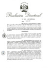 Vista preliminar de documento RD 163-2017.pdf