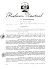 Vista preliminar de documento RD 162-2017.pdf