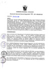 Vista preliminar de documento RGGR_461_2017.pdf
