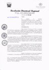 Vista preliminar de documento RDR 031.pdf