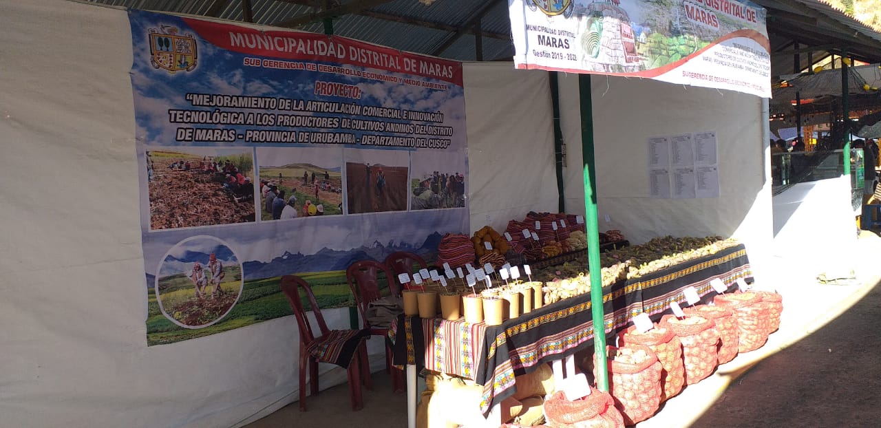 Maras y sus Comunidades, presentes en la 51 expo feria de Huancaro mediante el proyecto mejoramiento de la articulación comercial e innovación tecnológica a los productores de cultivos andinos del distrito de Maras.
contamos con la participación de nuestros hermanos productores de nuestras comunidades de Maras quienes exponen productos agropecuarios y agroindustriales en sus cadenas productivas como papas, habas,tarwi, ocas, trigo, cebada, maíz en sus diversas variedades.
“vamos a comprar, degustar y apoyar a nuestros productores Marasinos”
"del productor directo al consumidor"
"de la chacra, directo a la olla"
todos somos parte de la reactivación económica.
Haylly Qosqo, Haylly Maras.
Después de dos años se desarrollará la Expo Feria Huancaro y para este año el objetivo es promover la actividad agropecuaria de la región.
La comisión organizadora de la Expo Feria Huancaro 2022, señaló que para esta edición 51, los ciudadanos podrán apreciar la actividad agropecuaria de las trece provincias del Cusco. «Garantizamos al 100% la participación de los productores agropecuarios de la región y de otras regiones, articularemos el juzgamiento del caballo andino en proceso de mejora genética para carrera, y creo que es importante promover la parte cultural de las 13 provincias del Cusco para incentivar la actividad agropecuaria en la región», indicó Eber Castro Paiva, presidente de la comisión organizadora.
Cabe destacar que el desarrollo de esta actividad ferial será con todos los protocolos debidos, asimismo para este año la organización de difusión y gestión de la Expo Huancaro 2022 está a cargo de la comunidad de Cullawata del distrito de Velille, provincia de Chumbivilcas. Esta importante feria se llevará a cabo desde el 17 hasta el 30 de junio en el campo ferial de Huancaro, ubicado en el distrito de Santiago.