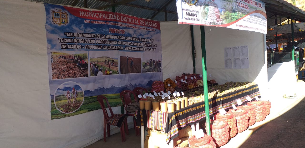 Maras y sus Comunidades, presentes en la 51 expo feria de Huancaro mediante el proyecto mejoramiento de la articulación comercial e innovación tecnológica a los productores de cultivos andinos del distrito de Maras.
contamos con la participación de nuestros hermanos productores de nuestras comunidades de Maras quienes exponen productos agropecuarios y agroindustriales en sus cadenas productivas como papas, habas,tarwi, ocas, trigo, cebada, maíz en sus diversas variedades.
“vamos a comprar, degustar y apoyar a nuestros productores Marasinos”
"del productor directo al consumidor"
"de la chacra, directo a la olla"
todos somos parte de la reactivación económica. 
Haylly Qosqo, Haylly Maras.
Después de dos años se desarrollará la Expo Feria Huancaro y para este año el objetivo es promover la actividad agropecuaria de la región.
La comisión organizadora de la Expo Feria Huancaro 2022, señaló que para esta edición 51, los ciudadanos podrán apreciar la actividad agropecuaria de las trece provincias del Cusco. «Garantizamos al 100% la participación de los productores agropecuarios de la región y de otras regiones, articularemos el juzgamiento del caballo andino en proceso de mejora genética para carrera, y creo que es importante promover la parte cultural de las 13 provincias del Cusco para incentivar la actividad agropecuaria en la región», indicó Eber Castro Paiva, presidente de la comisión organizadora.
Cabe destacar que el desarrollo de esta actividad ferial será con todos los protocolos debidos, asimismo para este año la organización de difusión y gestión de la Expo Huancaro 2022 está a cargo de la comunidad de Cullawata del distrito de Velille, provincia de Chumbivilcas. Esta importante feria se llevará a cabo desde el 17 hasta el 30 de junio en el campo ferial de Huancaro, ubicado en el distrito de Santiago.
