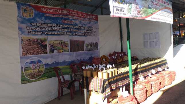 Maras y sus Comunidades, presentes en la 51 expo feria de Huancaro mediante el proyecto mejoramiento de la articulación comercial e innovación tecnológica a los productores de cultivos andinos del distrito de Maras.
contamos con la participación de nuestros hermanos productores de nuestras comunidades de Maras quienes exponen productos agropecuarios y agroindustriales en sus cadenas productivas como papas, habas,tarwi, ocas, trigo, cebada, maíz en sus diversas variedades.
“vamos a comprar, degustar y apoyar a nuestros productores Marasinos”
"del productor directo al consumidor"
"de la chacra, directo a la olla"
todos somos parte de la reactivación económica. 
Haylly Qosqo, Haylly Maras.
Después de dos años se desarrollará la Expo Feria Huancaro y para este año el objetivo es promover la actividad agropecuaria de la región.
La comisión organizadora de la Expo Feria Huancaro 2022, señaló que para esta edición 51, los ciudadanos podrán apreciar la actividad agropecuaria de las trece provincias del Cusco. «Garantizamos al 100% la participación de los productores agropecuarios de la región y de otras regiones, articularemos el juzgamiento del caballo andino en proceso de mejora genética para carrera, y creo que es importante promover la parte cultural de las 13 provincias del Cusco para incentivar la actividad agropecuaria en la región», indicó Eber Castro Paiva, presidente de la comisión organizadora.
Cabe destacar que el desarrollo de esta actividad ferial será con todos los protocolos debidos, asimismo para este año la organización de difusión y gestión de la Expo Huancaro 2022 está a cargo de la comunidad de Cullawata del distrito de Velille, provincia de Chumbivilcas. Esta importante feria se llevará a cabo desde el 17 hasta el 30 de junio en el campo ferial de Huancaro, ubicado en el distrito de Santiago.
