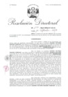 Vista preliminar de documento 091417 RD 157-2017-INPE-17-131-D_Nakano Chinchay Susana Victoria.pdf