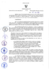 Vista preliminar de documento RER N° 331-2022