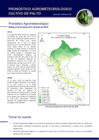 Vista preliminar de documento palto_2jun22.pdf