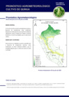 Vista preliminar de documento quinua_monitoreo_2jun22.pdf