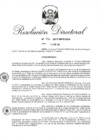 Vista preliminar de documento RD 156-2017.pdf