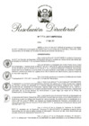 Vista preliminar de documento RD 055-2017.pdf