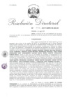 Vista preliminar de documento 080117 RD 051-2017-INPE-18-262-D_Chang Fernandez Hugo Yu y otros.pdf
