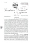 Vista preliminar de documento 080217 RD 49-2017-INPE-22-621-D_Peña Chambilla Gilmer.pdf