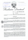 Vista preliminar de documento 012517 RD 00048-2017-INPE-OGA-URH_Diaz Espinoza David Alejandro.pdf