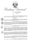 Vista preliminar de documento RD 150-2017.pdf