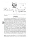 Vista preliminar de documento 070517 RD 46-2017-INPE22-621-D_Choqquenayra Choqueneira Maria Luisa.pdf