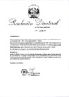 Vista preliminar de documento RD 044-2017.pdf