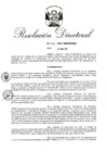 Vista preliminar de documento RD 041-2017.pdf