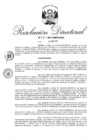 Vista preliminar de documento RD 038-2017.pdf