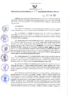 Vista preliminar de documento RER N° 335-2022