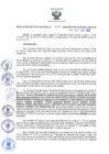 Vista preliminar de documento RER N° 336-2022