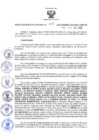 Vista preliminar de documento RER N° 337-2022