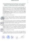 Vista preliminar de documento CONVENIO INTERINSTITUCIONAL DE COOPERACIÓN Y APOYO A LOS CENSOS NACIONALES: XII DE POBLACIÓN