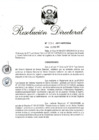Vista preliminar de documento RD 031-2017.pdf