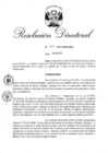 Vista preliminar de documento RD 029-2017.pdf