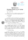 Vista preliminar de documento RES ST 028-2017.pdf