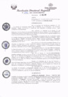 Vista preliminar de documento redi2021_493.pdf