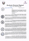 Vista preliminar de documento redi2021_501.pdf