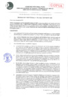 Vista preliminar de documento RESOLUCION DIRECTORAL N° 021-2021-GRP-DRTPE-DIT.pdf