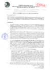 Vista preliminar de documento RESOLUCION DIRECTORAL N° 013-2021-GRP-DRTPE-DIT.pdf