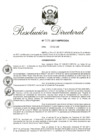 Vista preliminar de documento 13. RD 028-2017.pdf