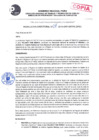 Vista preliminar de documento Resoluciones Dirección de Prevención y Solución de Conflictos N° 00011-2019