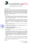 Vista preliminar de documento Resoluciones Dirección de Prevención y Solución de Conflictos N° 00017-2020
