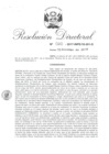 Vista preliminar de documento 08. 110917 RD 020-2017-INPE-18-201-D_Huashuayo Carrasco Rocio.pdf