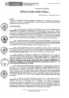 Vista preliminar de documento RD-036-2017-DE-HEVES