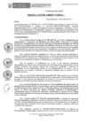 Vista preliminar de documento RD-027-2017-DE-HEVES