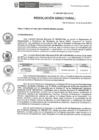 Vista preliminar de documento RD-045-2017-DE-HEVES