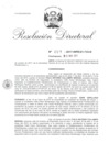 Vista preliminar de documento 16. 110317 RD 019-2017-INPE-21-733-D_Cullampe Servan Italo Antonio y otro.pdf