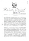 Vista preliminar de documento 06. 072117 RD 015-2017-INPE-23-543-D_Davila Panduro Osmar Adriel y otro.pdf