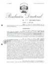 Vista preliminar de documento 07. 091517 RD 015-2017-INPE-17-102-D_Valladares Palacios Juan Carlos.pdf
