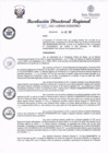 Vista preliminar de documento redi2021_537.pdf