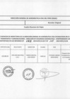 Vista preliminar de documento 231-2019 ANEXO.pdf