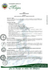 Vista preliminar de documento REGLAMENTO